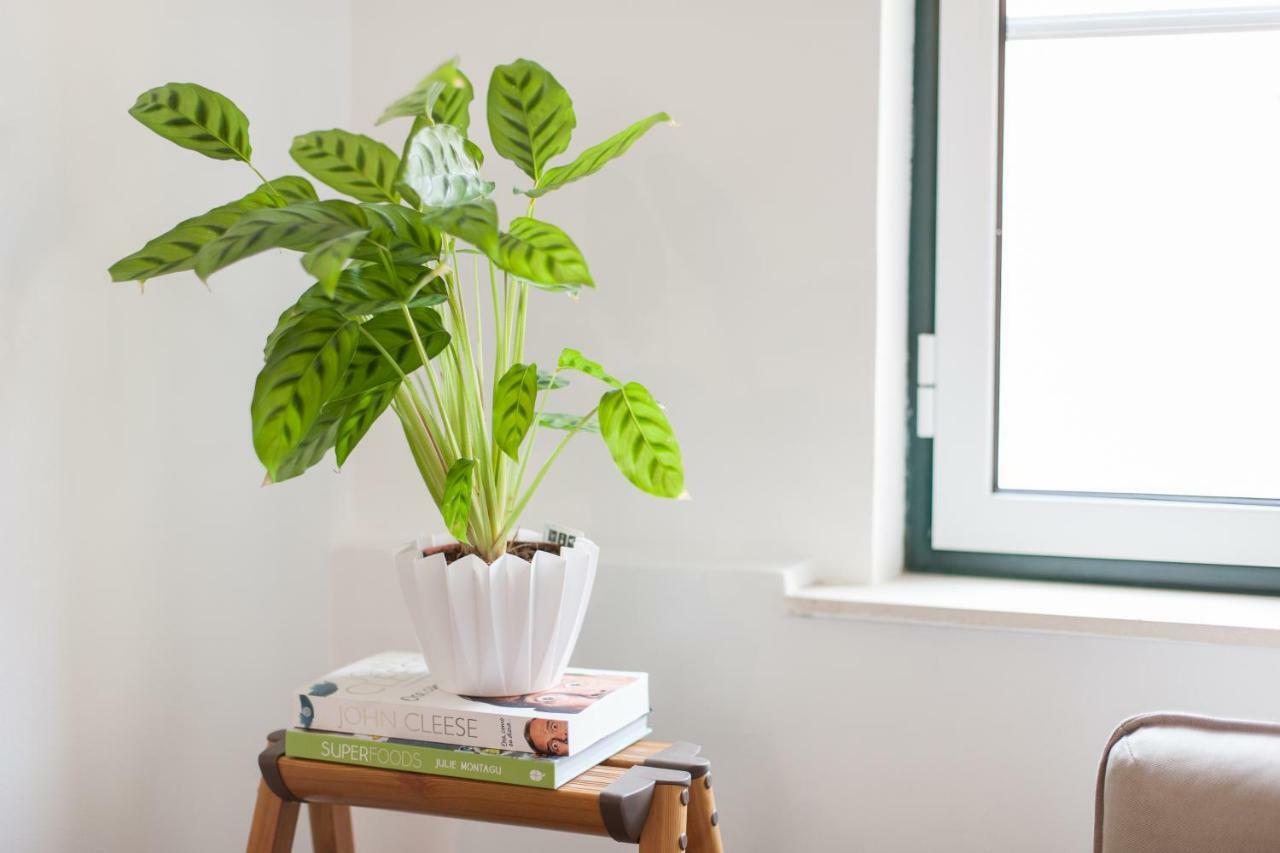 Martim Moniz Studio Apartments - By Lu Holidays Lissabon Exterior foto
